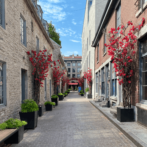 inmobiliarias