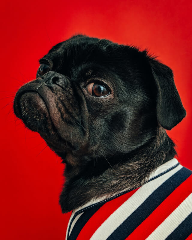 formulario de contacto